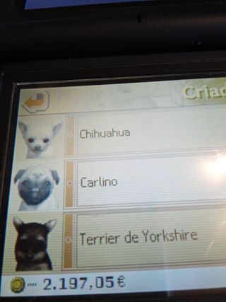 Nintendogs: Dalmatian & Friends para Nintendo DS