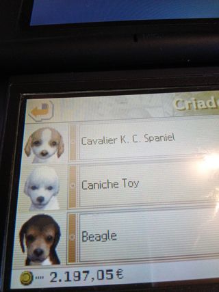 Nintendogs: Dalmatian & Friends para Nintendo DS