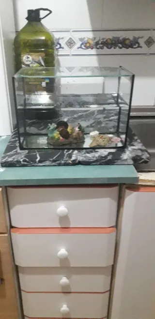 Terrario o pecera  tapadera de cristal.No envio
