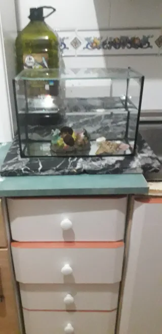 Terrario o pecera  tapadera de cristal.No envio