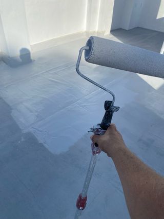 Servicio de Pintura Profesional