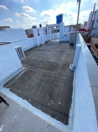Servicio de Pintura Profesional