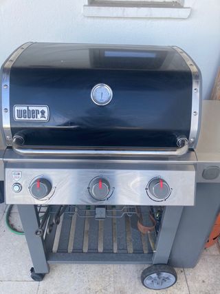 Barbacoa Weber Genesis II GS4