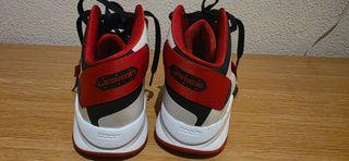 Zapatillas Nike Lebron James Talla 42
