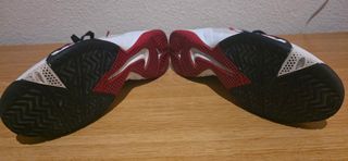 Zapatillas Nike Lebron James Talla 42