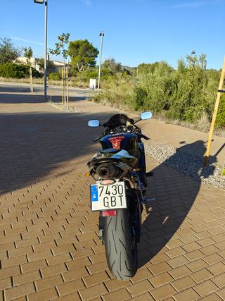 HONDA CBR 600RR