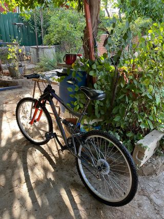 Bicicleta de montaña