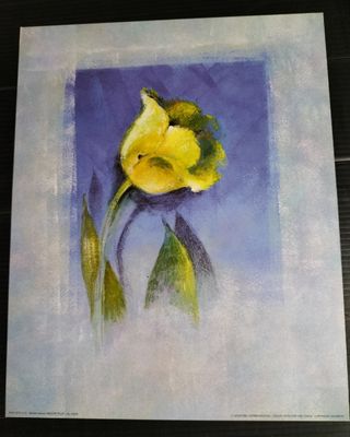 Stampe fiori moderni