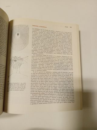 PSICOLOGIA-LINDZEY (FUERA DE CATALOGO) (Spanish...