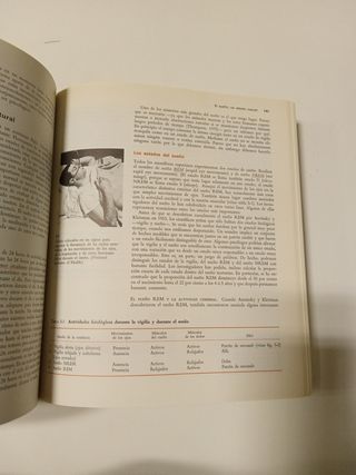 PSICOLOGIA-LINDZEY (FUERA DE CATALOGO) (Spanish...