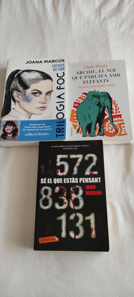 Trilogia Foc 1: Ciutats de fum