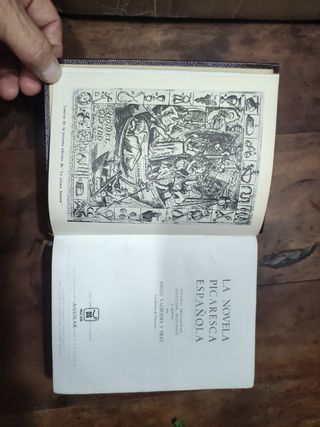 La novela picaresca española