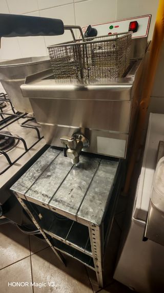 Friggitrice elettrica professionale