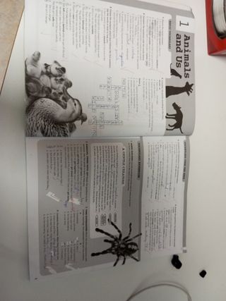 Burlington Int. English B1 2nd Edition Workbook