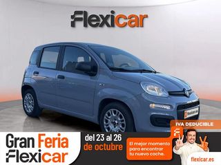 Fiat Panda Panda Hybrid 1.0 Gse 51kw (70CV)