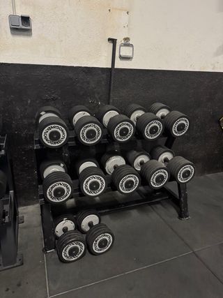 Mancuernas Technogym 30-40kg (Par)