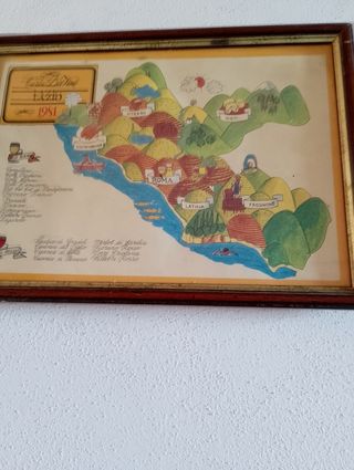 N. 5 Stampe incorniciate  1981