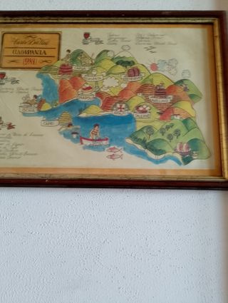 N. 5 Stampe incorniciate  1981