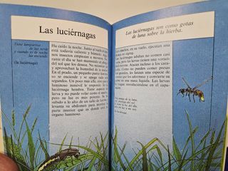 4 libritos para la naturaleza en cada estación año