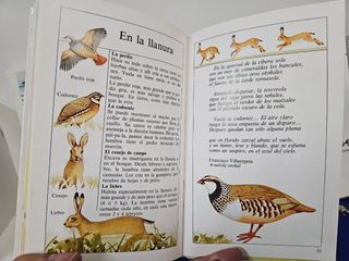 4 libritos para la naturaleza en cada estación año