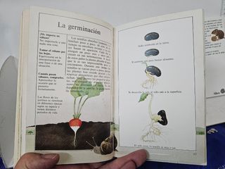 4 libritos para la naturaleza en cada estación año