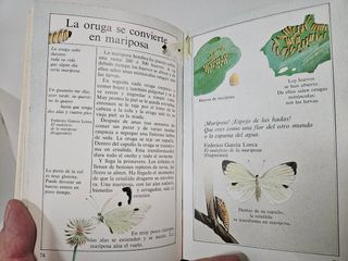 4 libritos para la naturaleza en cada estación año