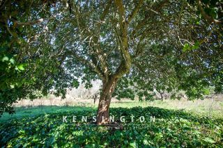 Terreno en venta en Artà