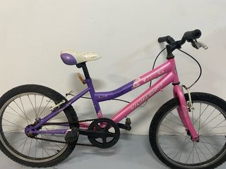 Bicicleta infantil Ruedas 20