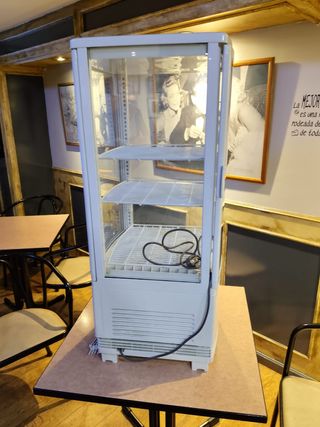 Nevera expositora Polar
