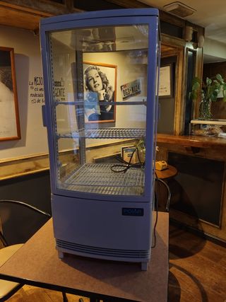 Nevera expositora Polar
