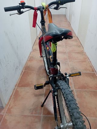 Bicicleta Orbea Rocker 20 Infantil