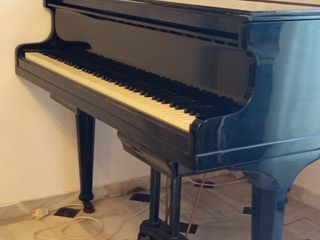 Piano de cola Harrods