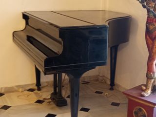 Piano de cola Harrods