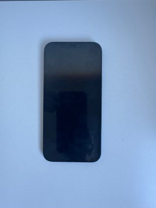 iPhone 12 Pro Max 256GB