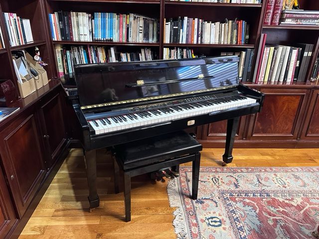 BEHRINGER Eurogrand EG8080 Piano Cola Digital