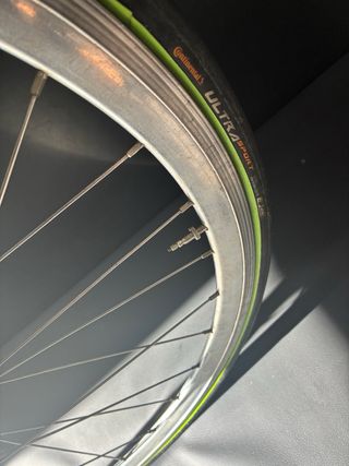 Bicicleta Fixie Piñón Fijo y Libre