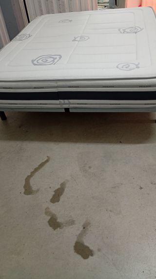 Cama Matrimonio Tela y Meálica de dos plazas en b