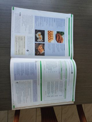 Llengua catalana i Literatura 1 ESO (2019) (Cod...