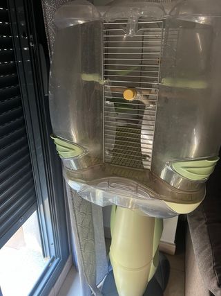 Jaula Visión Transparente y Verde