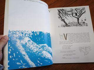 El quijote - Plaza & Janés