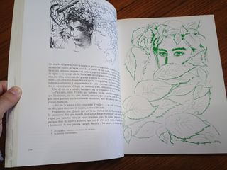 El quijote - Plaza & Janés