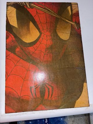 Quadro Spiderman decoupage su legno