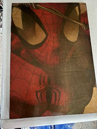 Quadro Spiderman decoupage su legno