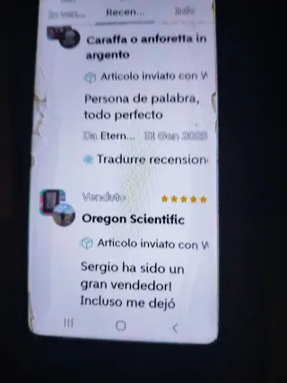 Coppia Vasi Cinesi Dinastia Ming