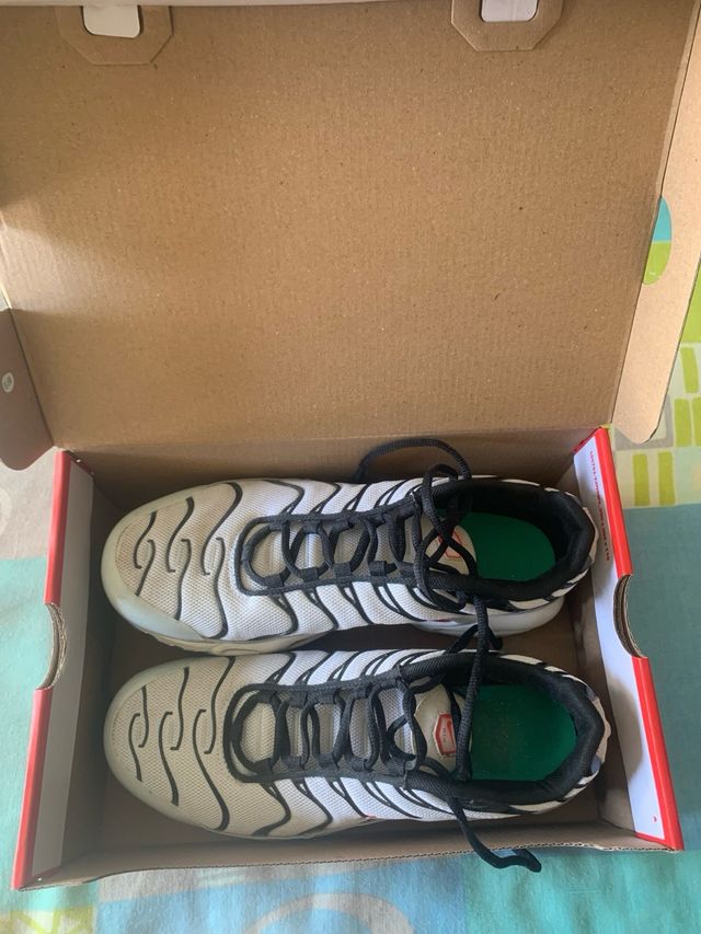 Nike TN Air Max Plus Zapatillas