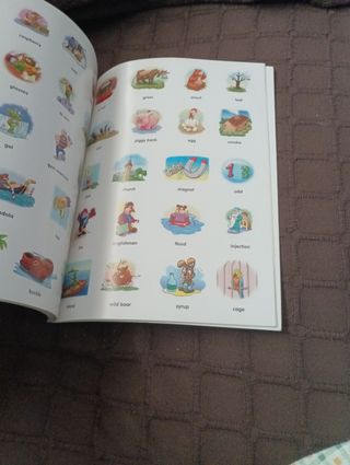 Mi primer diccionario Español/Ingles