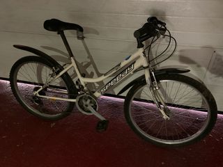 Bicicleta 24 pulgadas