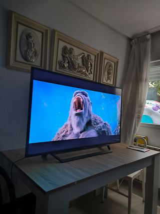 Sony PS5 Pro Blanca y TV Sony Bravia