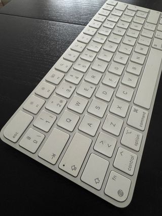 Teclado Apple Magic Keyboard A2450 Plata.
