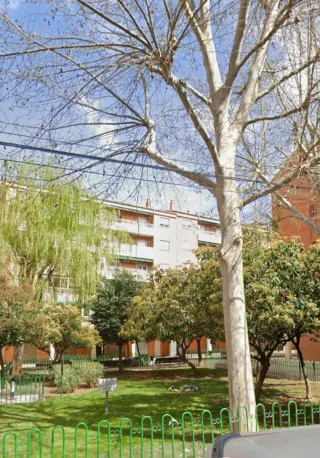 Alquilo habitación Grande